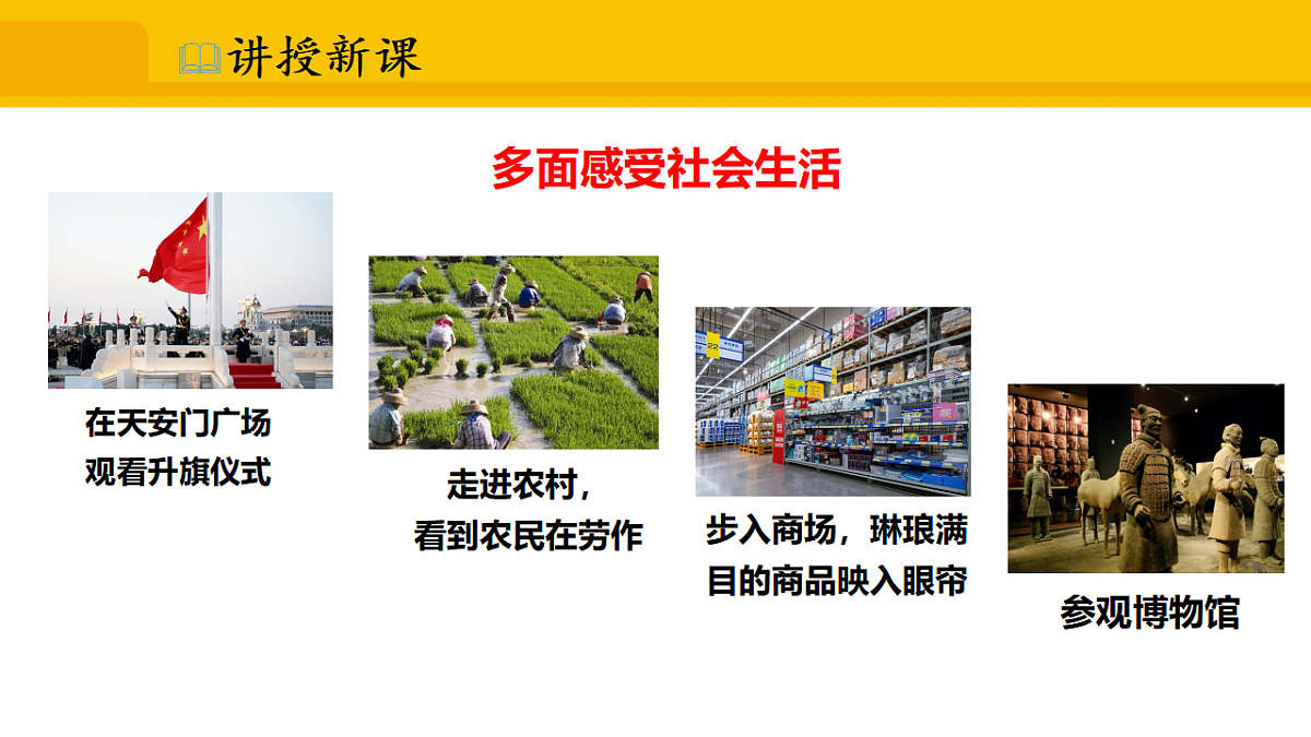 17339673第7页