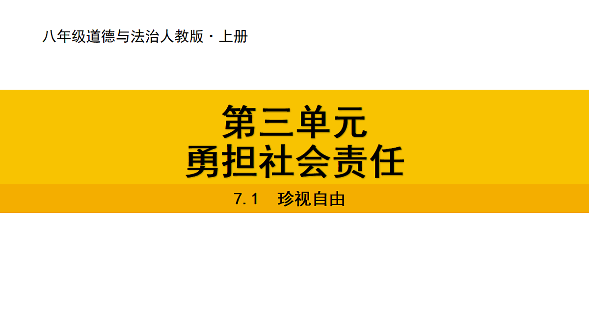 17339685第1页