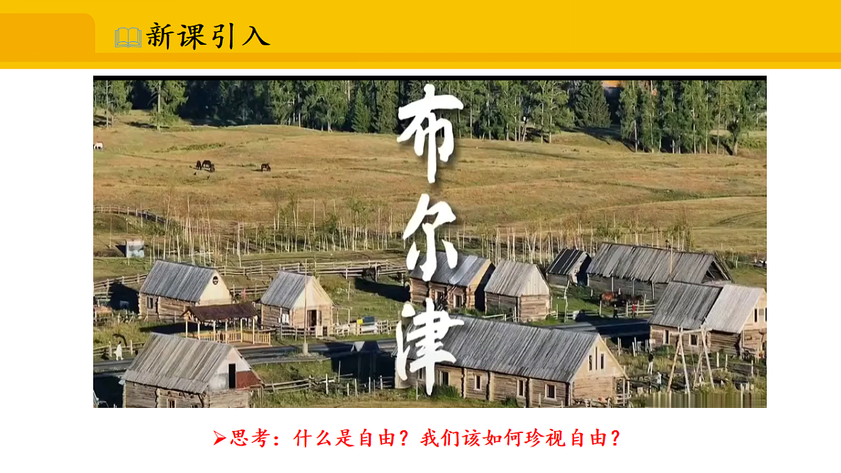 17339685第3页