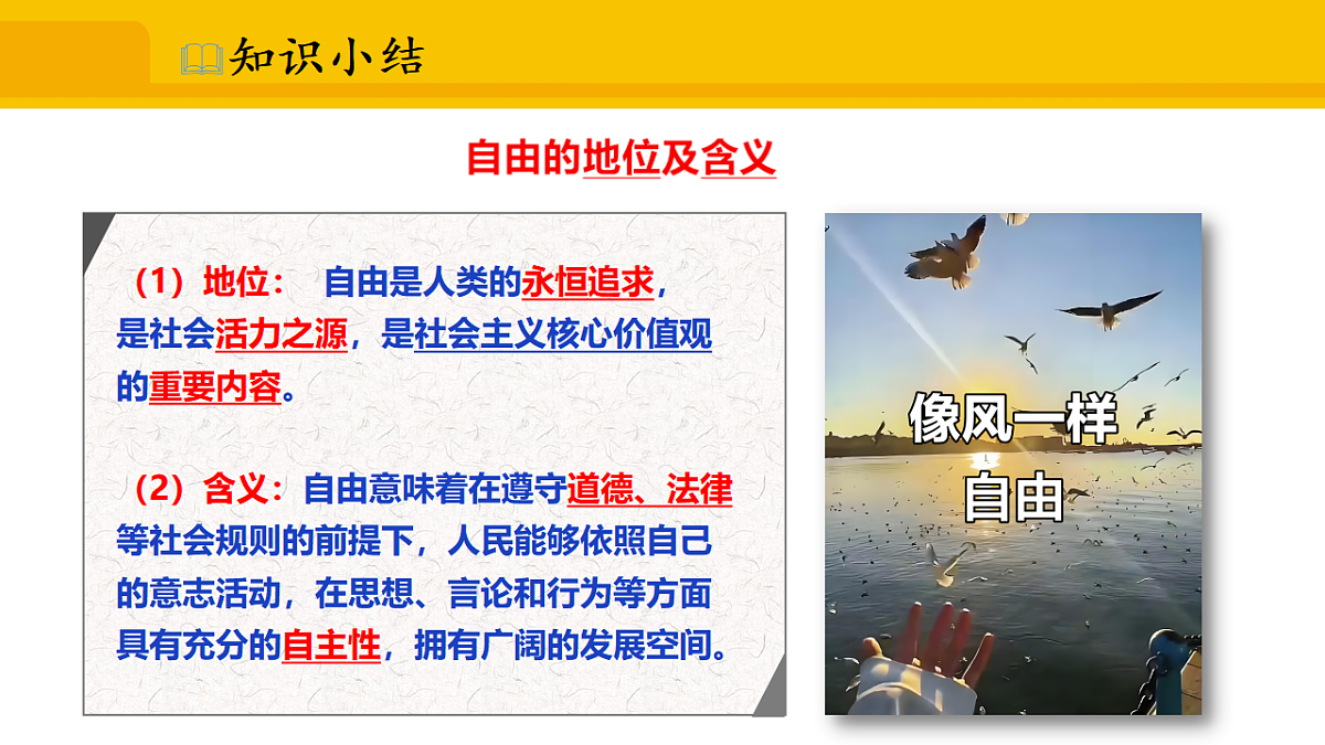 17339685第6页