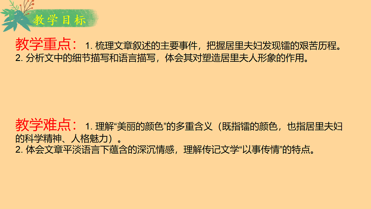 17339908第3页