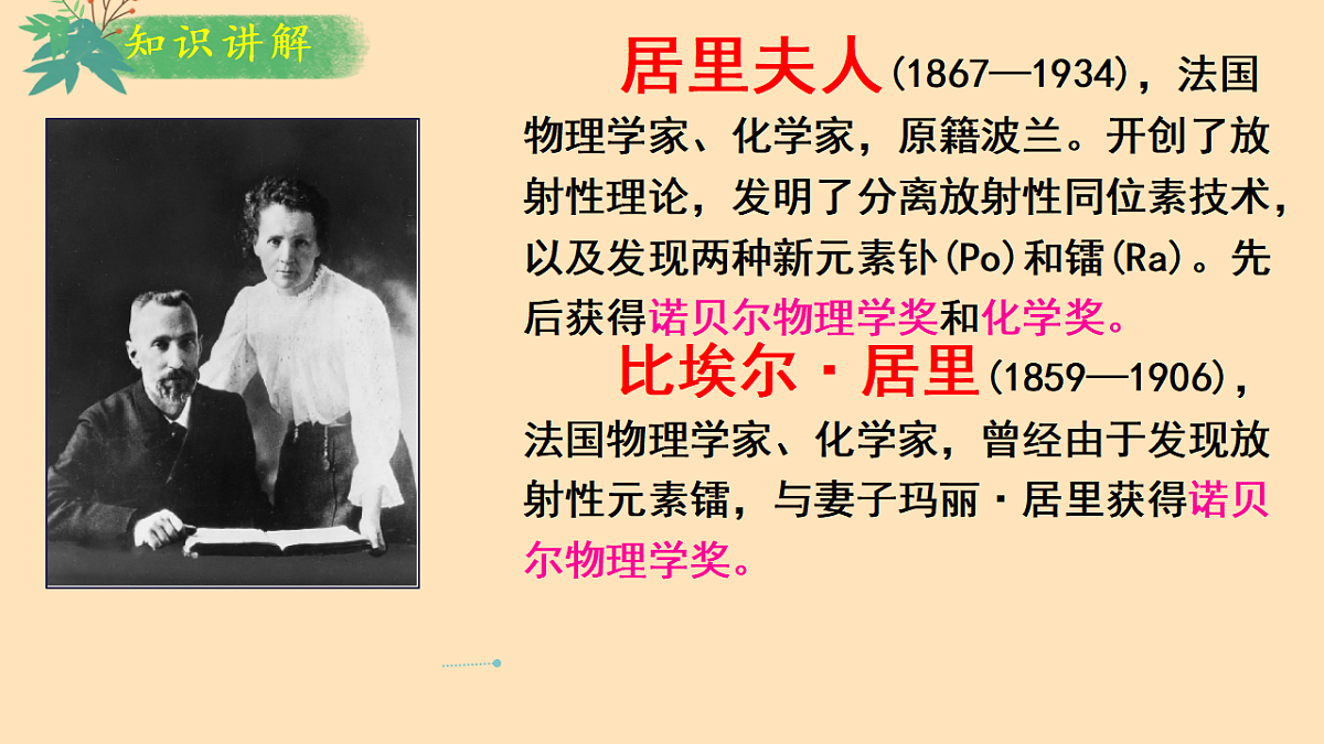 17339908第7页