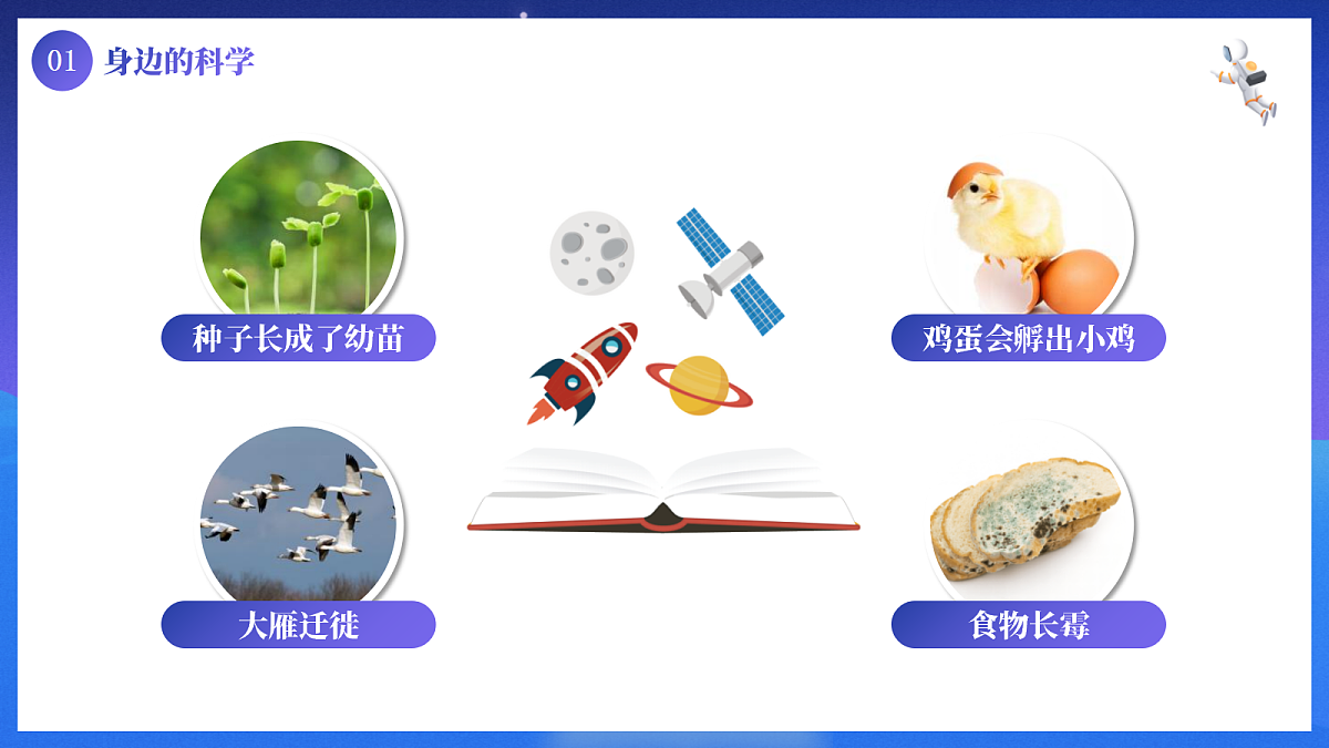 17340029第8页