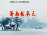 统编版七年级语文上册第2课《济南的冬天》配套资料（教学设计+同步课件+同步练习+答案解析）
