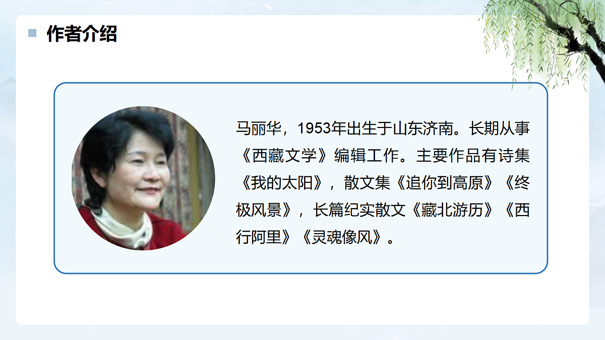 17340366第6页