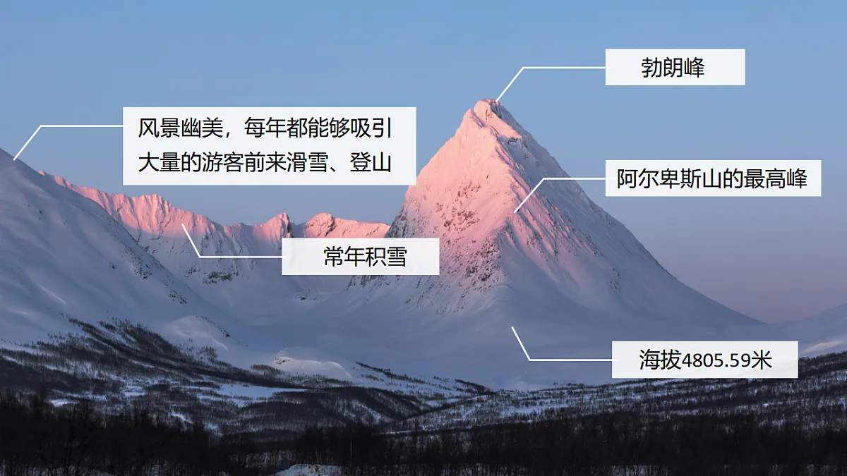 17340368第5页