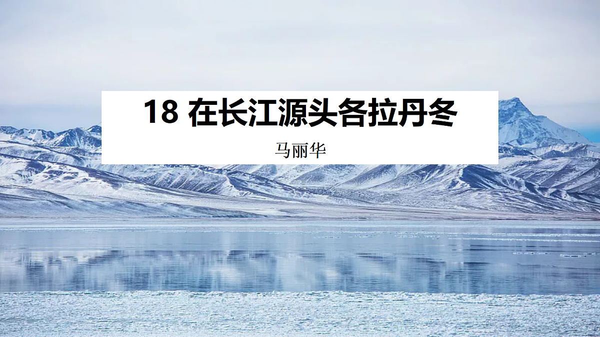17340371第1页