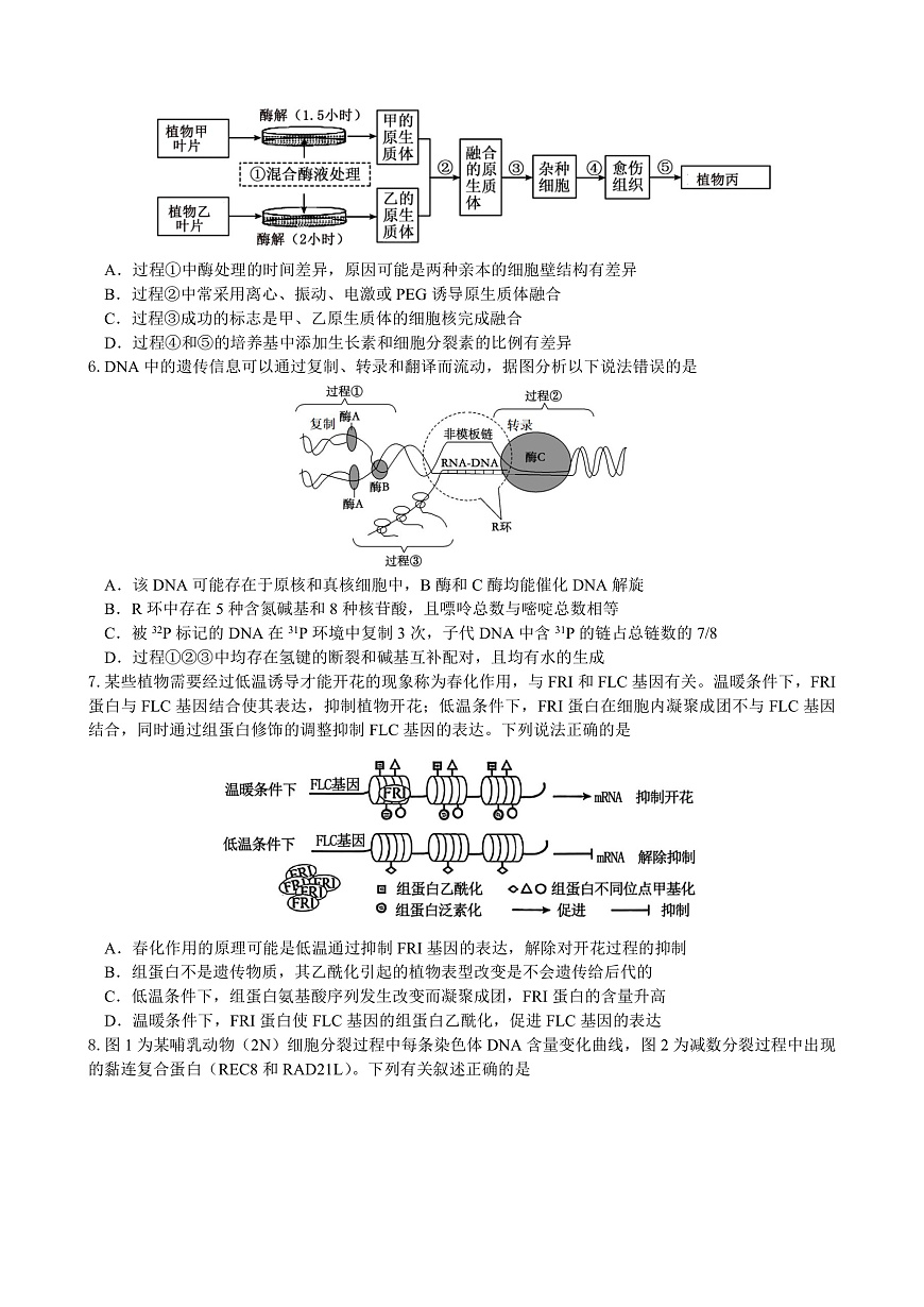 绵阳南山中学实验学校2025-2026学年高三上学期9月月考 生物第2页