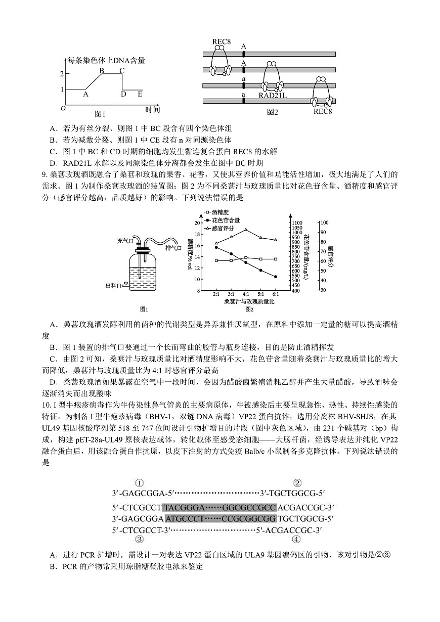 绵阳南山中学实验学校2025-2026学年高三上学期9月月考 生物第3页