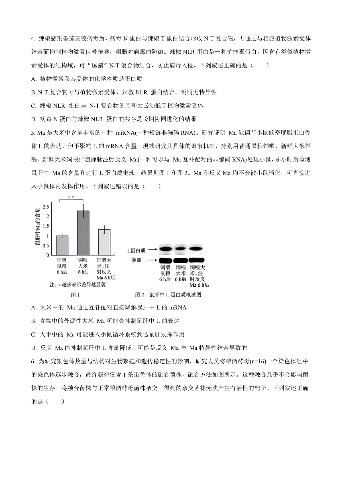 湖北省华大新高考联盟2025-2026学年高三上学期9月教学质量测评生物试卷 Word版无答案第2页