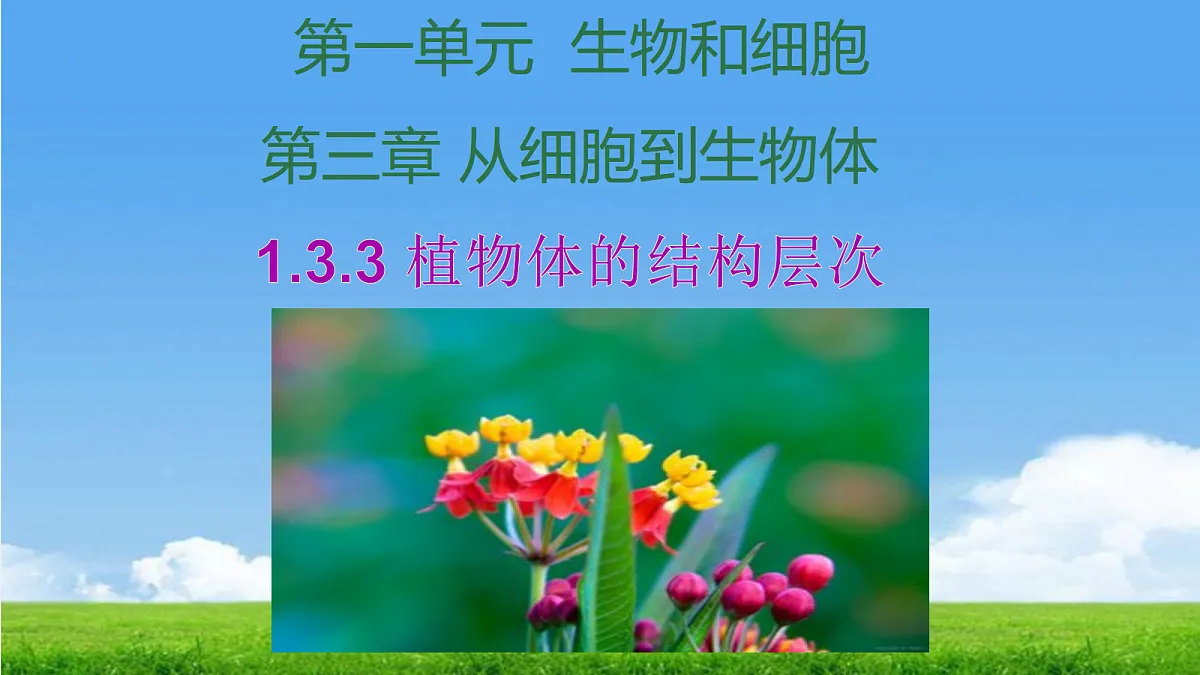 17341476第1页