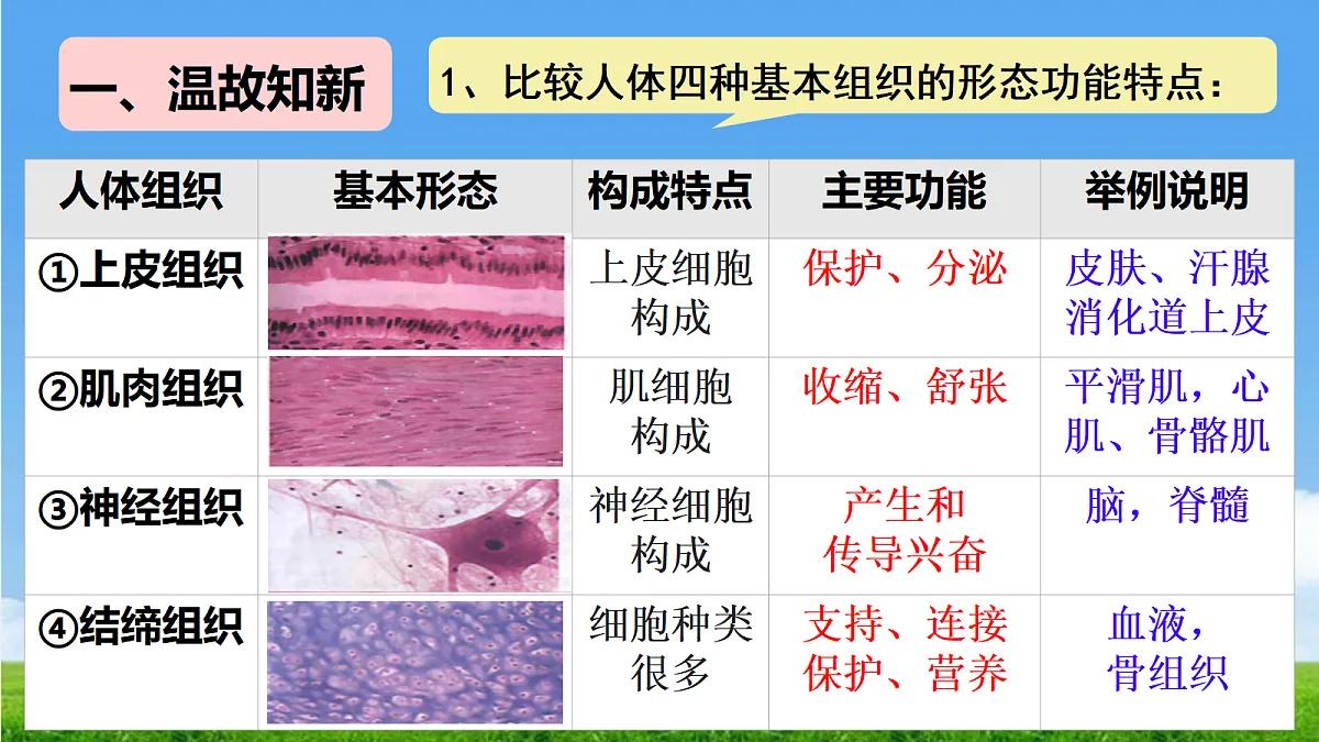 17341476第2页