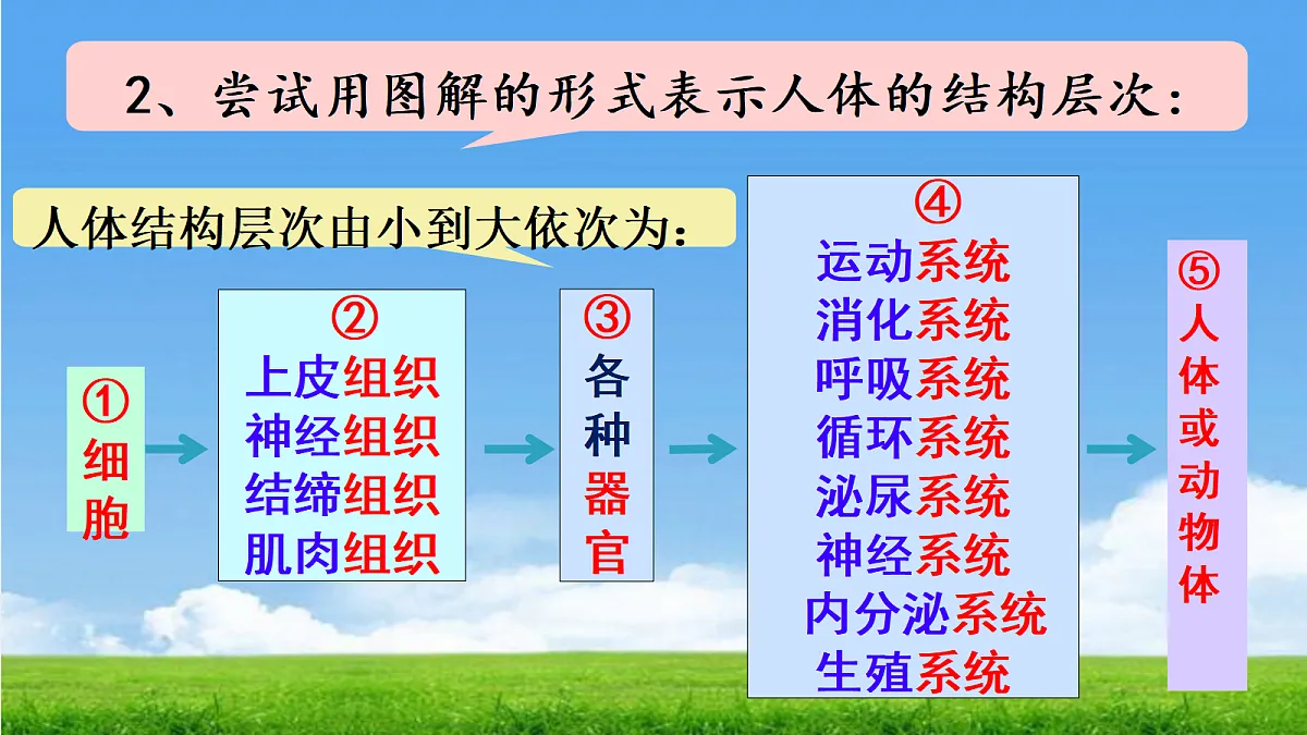 17341476第3页