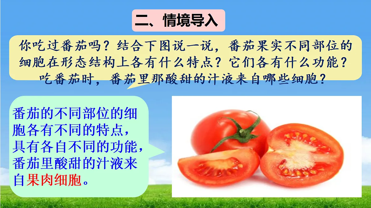 17341476第4页