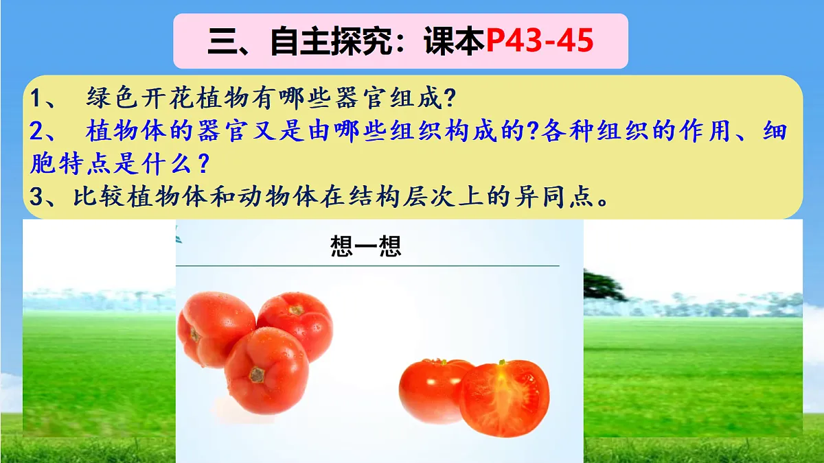 17341476第5页
