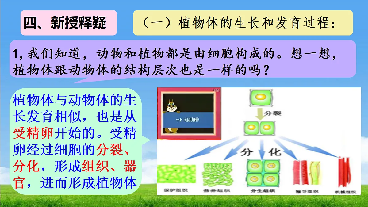 17341476第6页