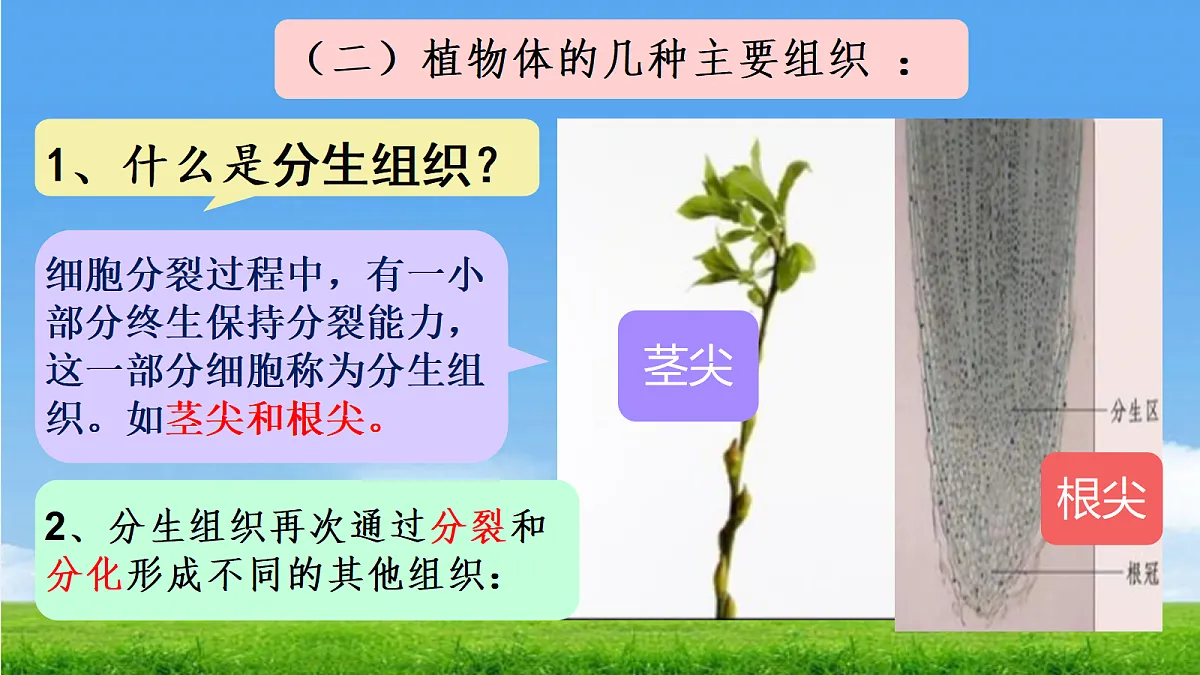 17341476第7页