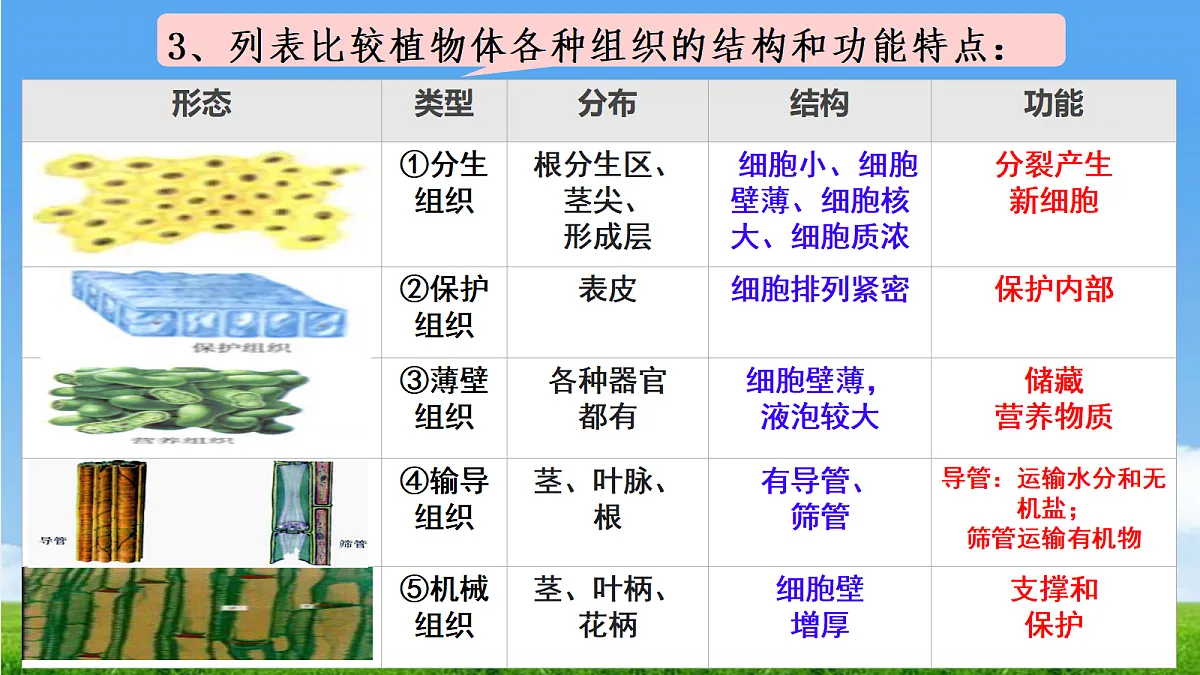 17341476第8页