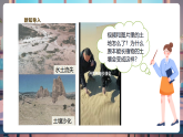 【新教学核心素养】苏教版科学三年级上册1.4《植被与土壤》课件+课时教案+单元整体教学设计（表格式）