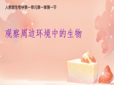 1.1.1观察周边环境中的生物 课件人教版（2024）七年级生物上册