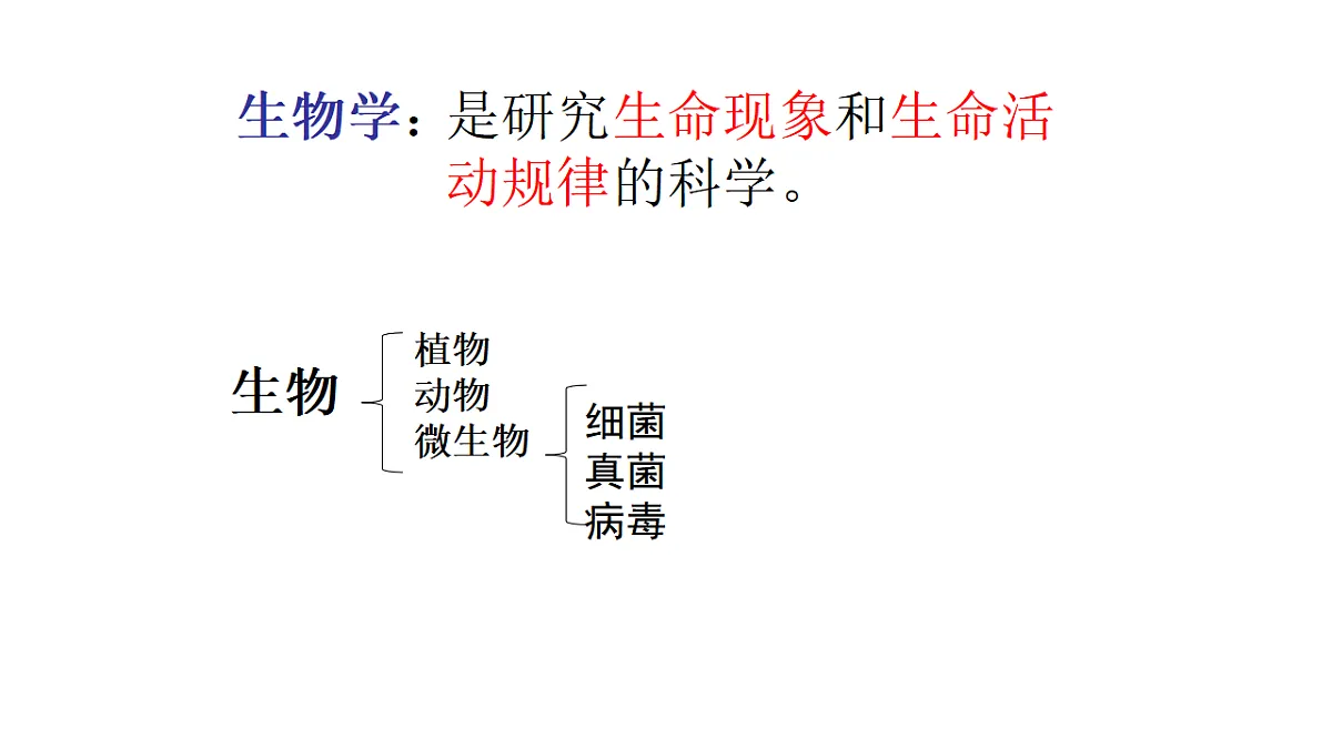 17341765第2页
