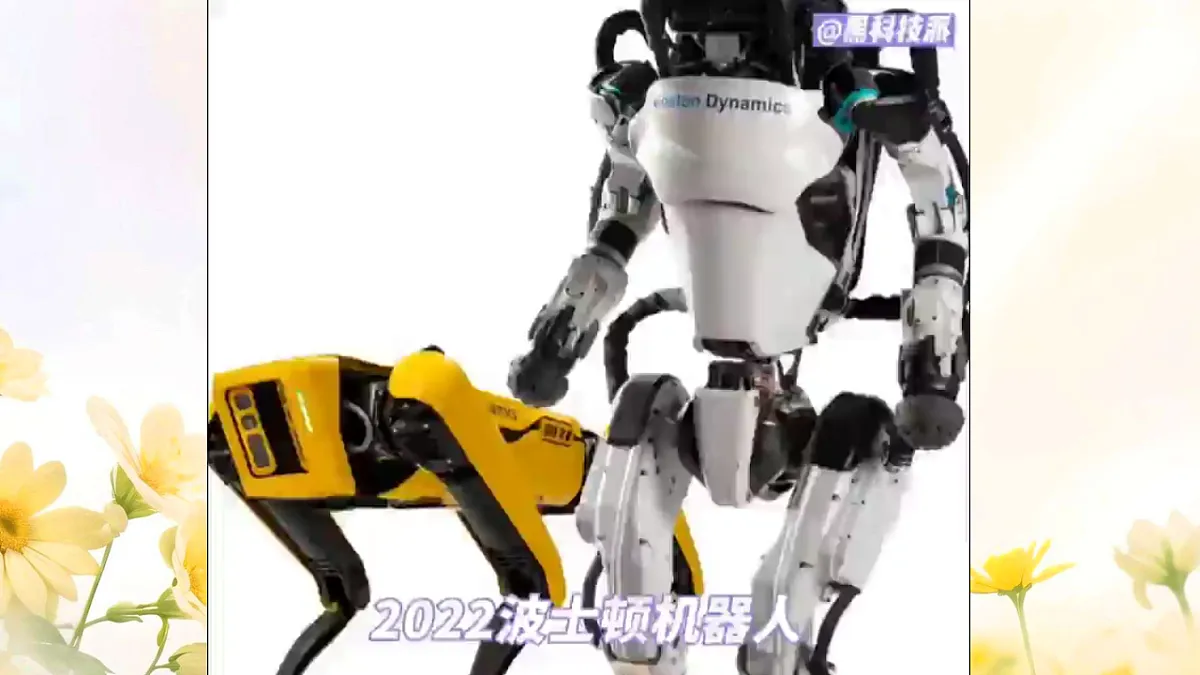 17341765第3页
