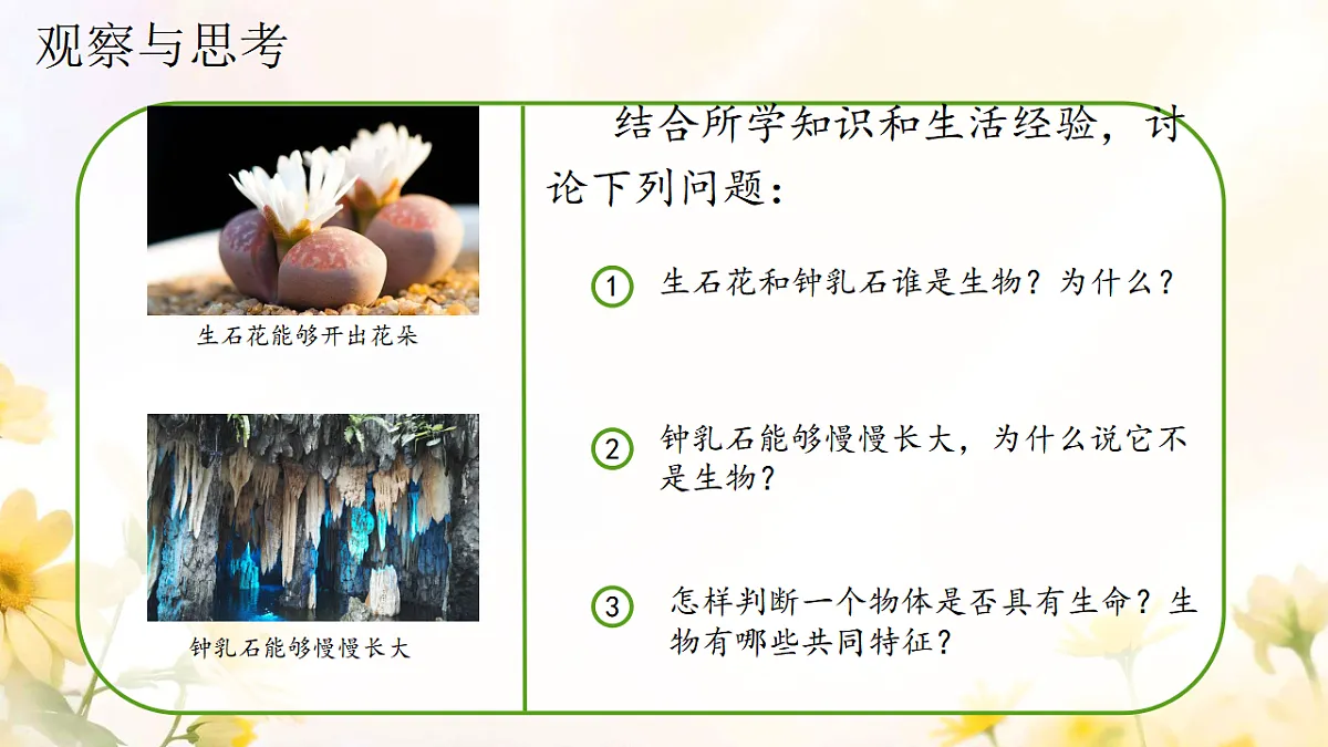 17341765第5页