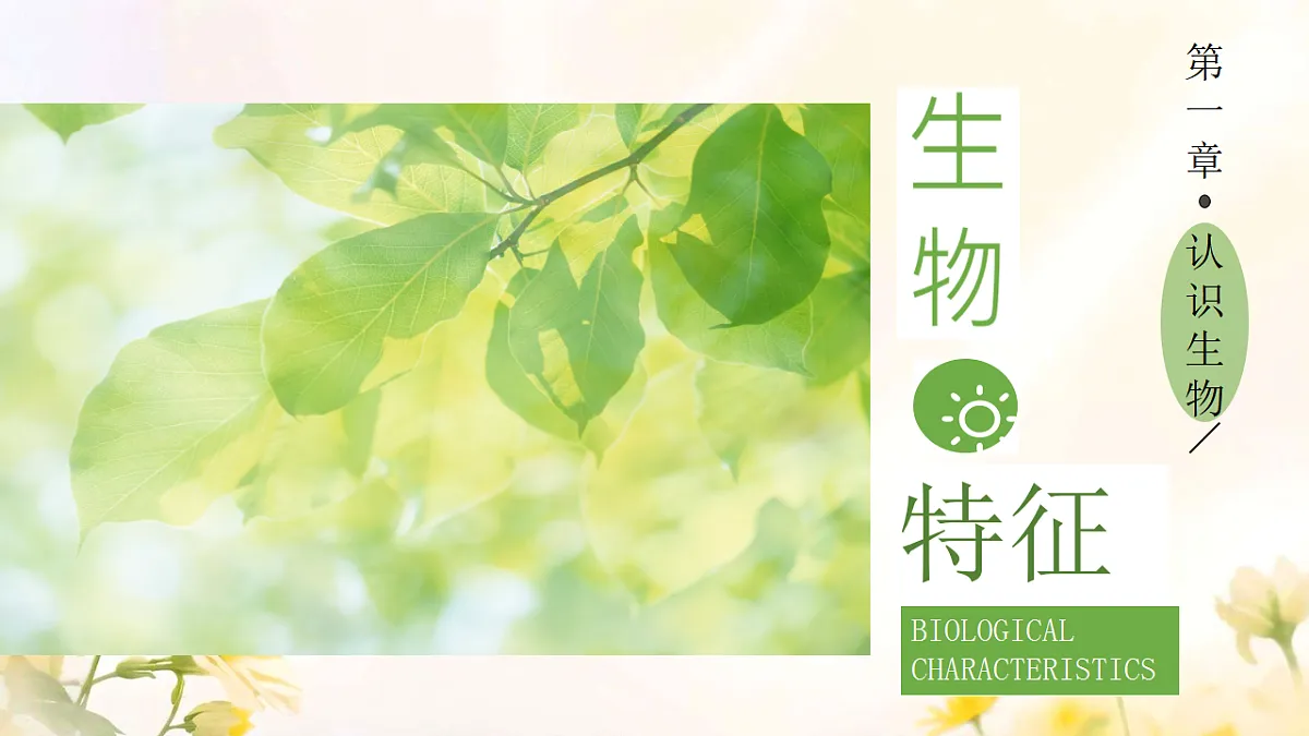 17341765第6页