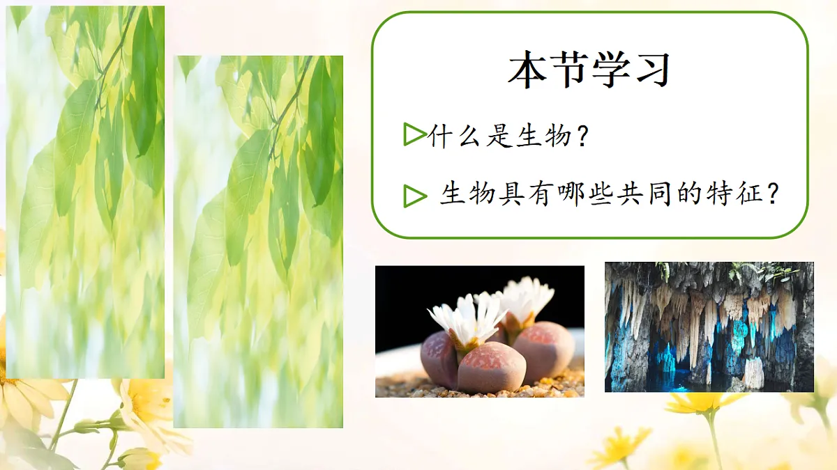 17341765第7页