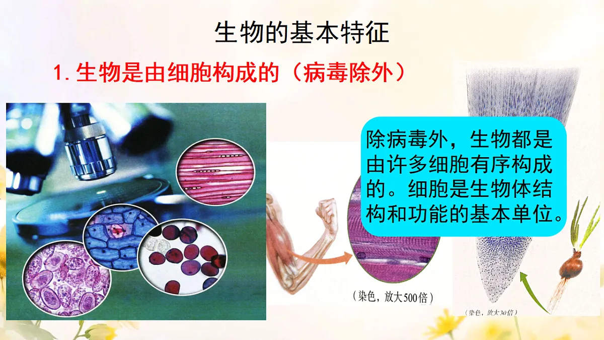 17341765第8页