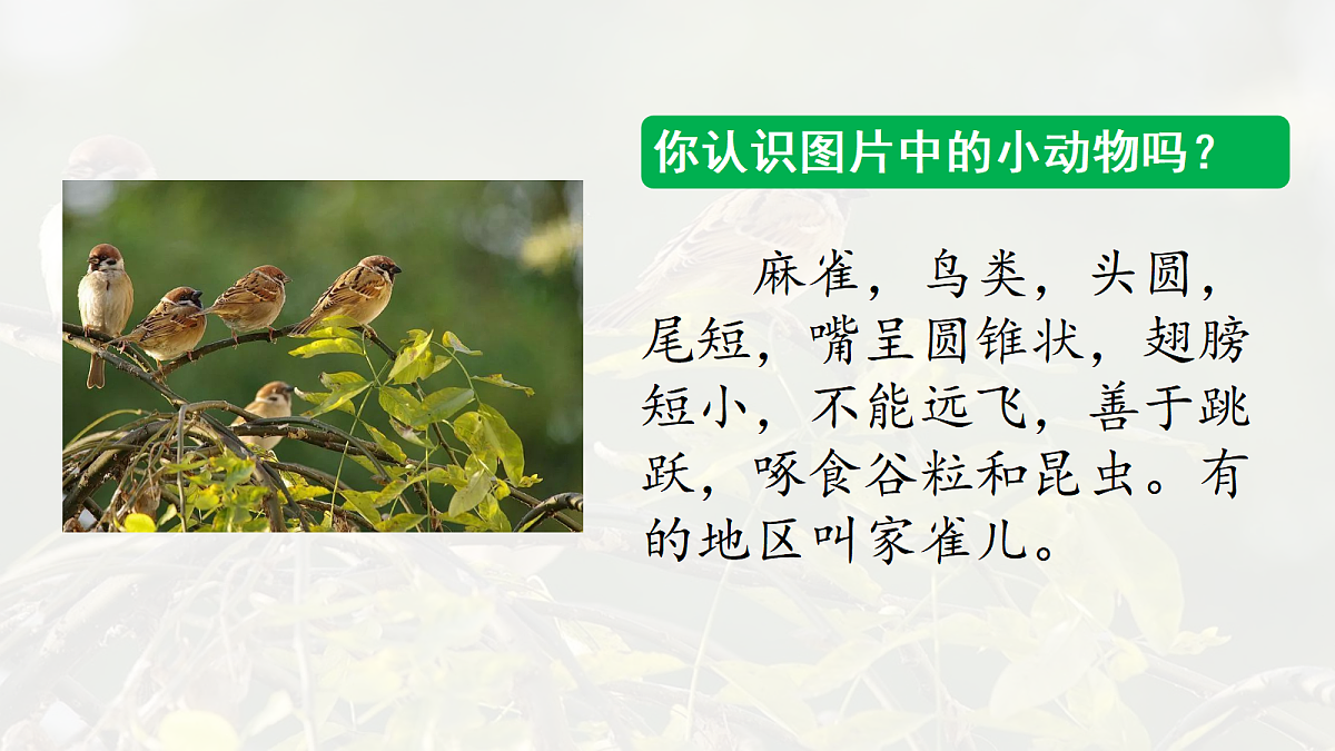 17342246第2页