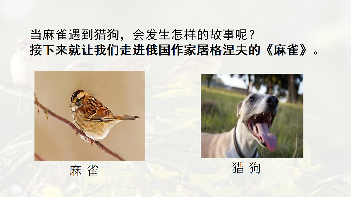 17342246第3页