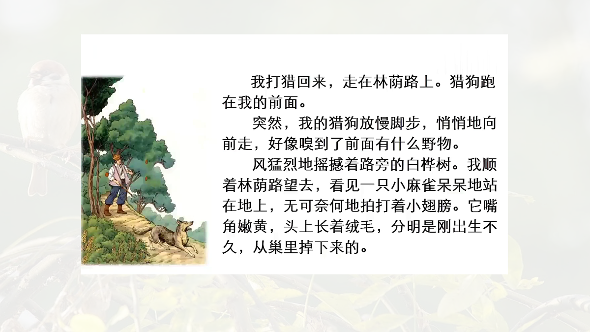 17342246第5页