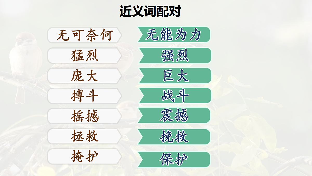17342246第7页