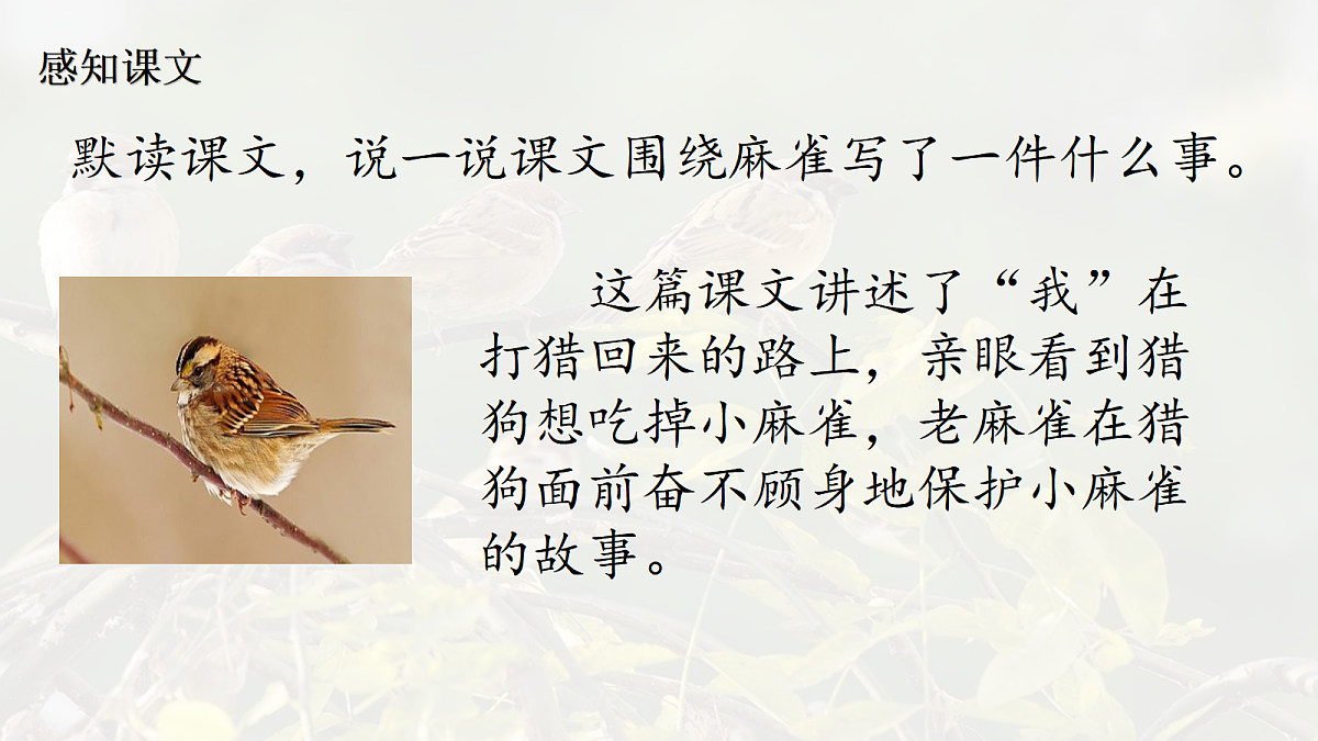 17342246第8页