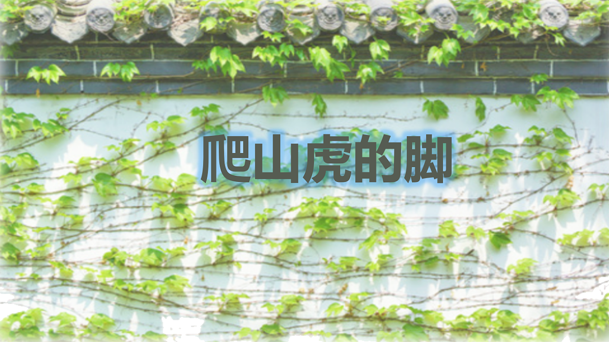 17342250第1页