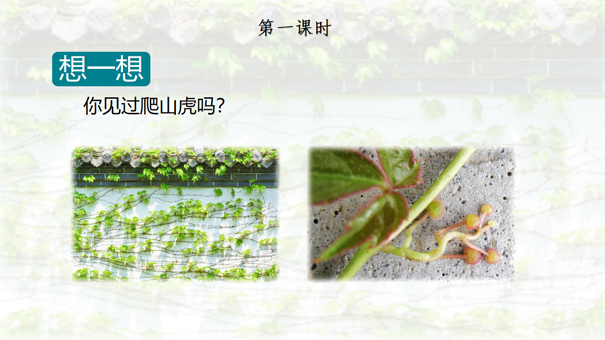 17342250第2页