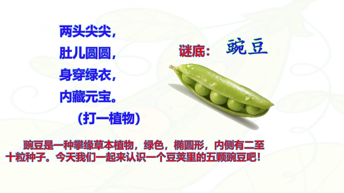 17342253第1页