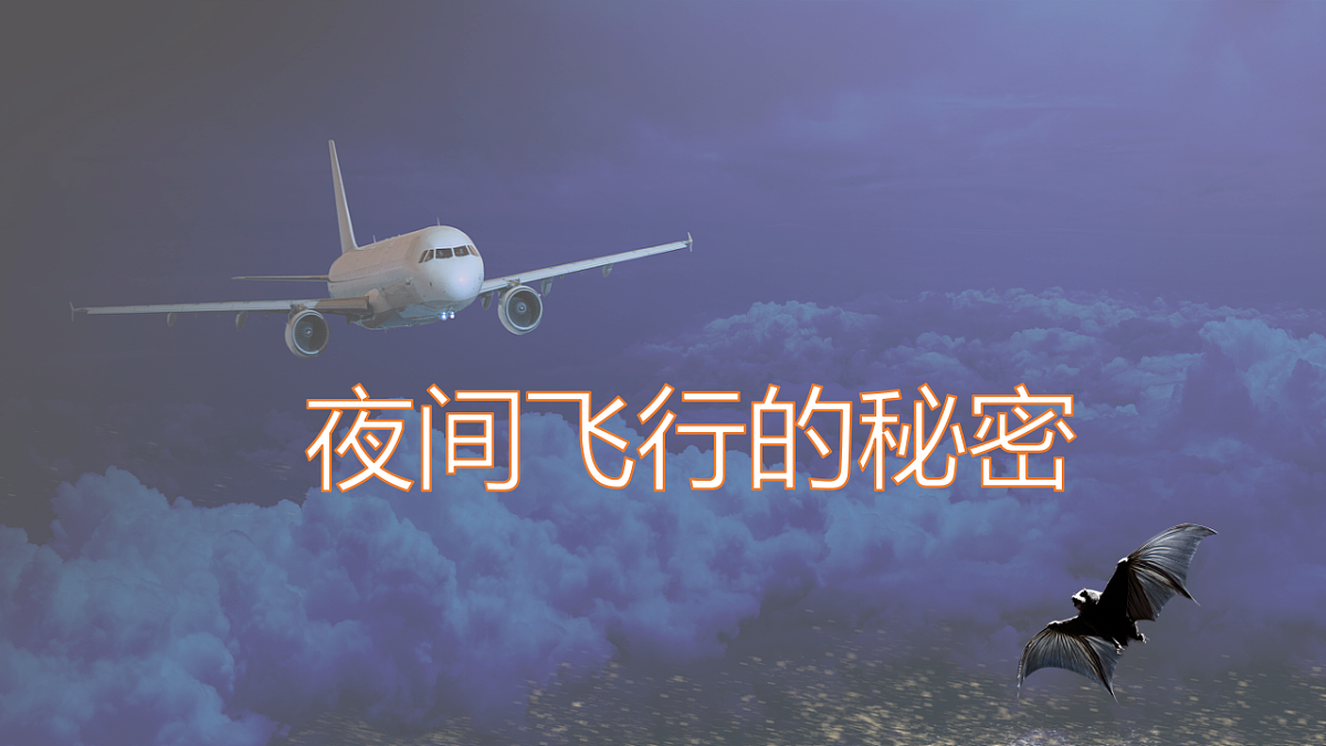 17342254第1页
