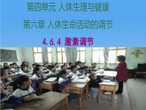 4.6.4 激素调节 课件 2025-2026学年人教版生物八年级上册