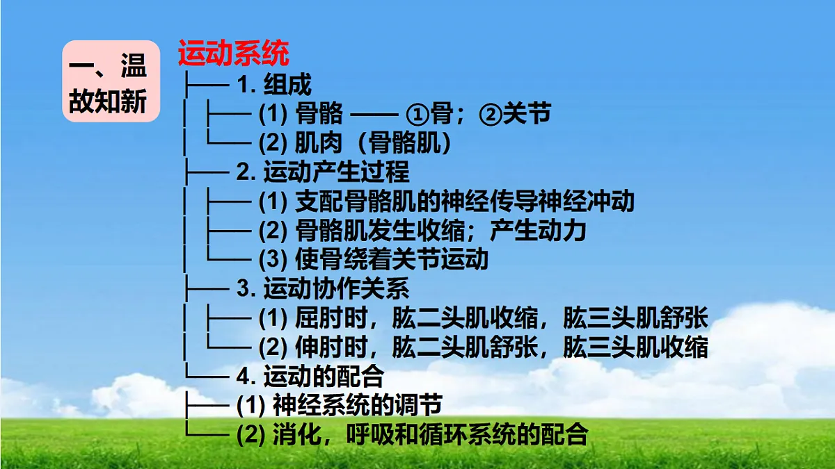 17342261第2页