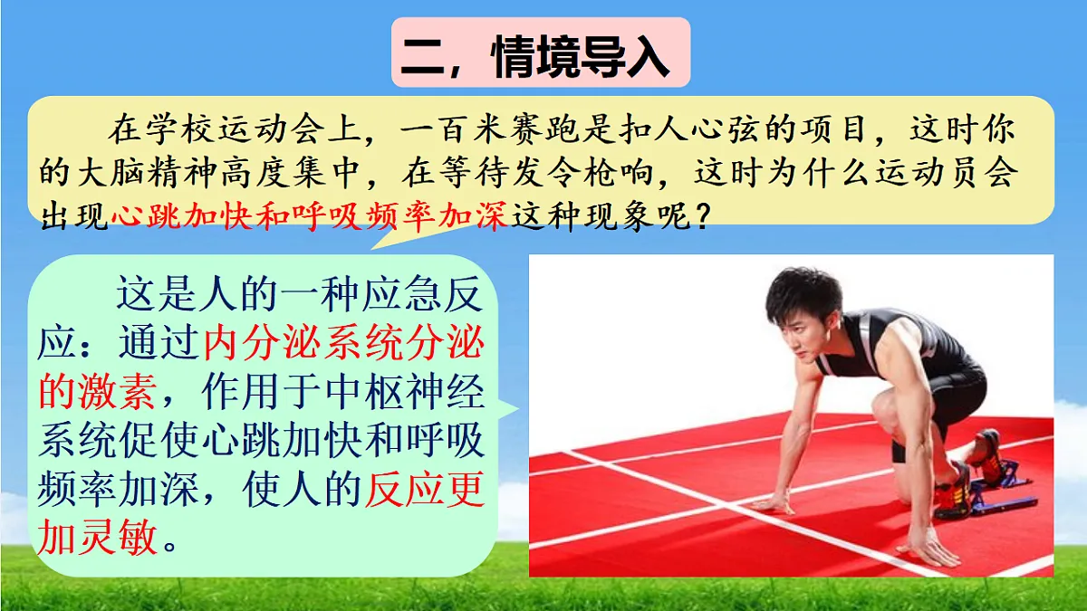 17342261第3页