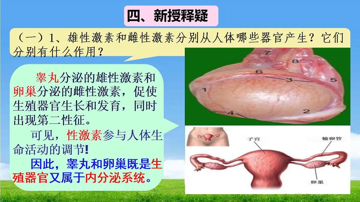 17342261第5页