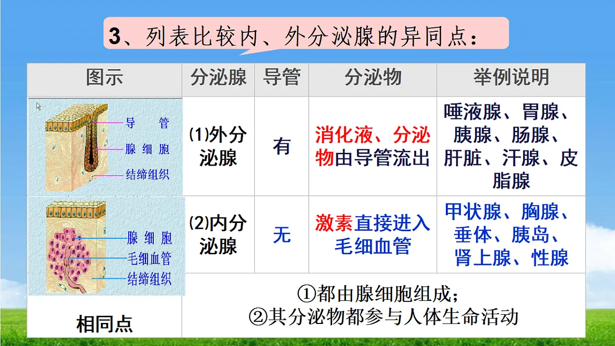 17342261第6页