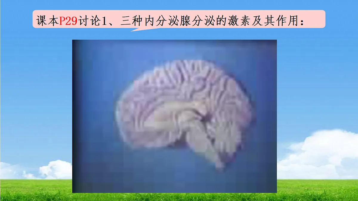 17342261第8页