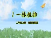 1《一株植物》（课件）-2025-2026学年科学三年级上册（粤教科技版2024）