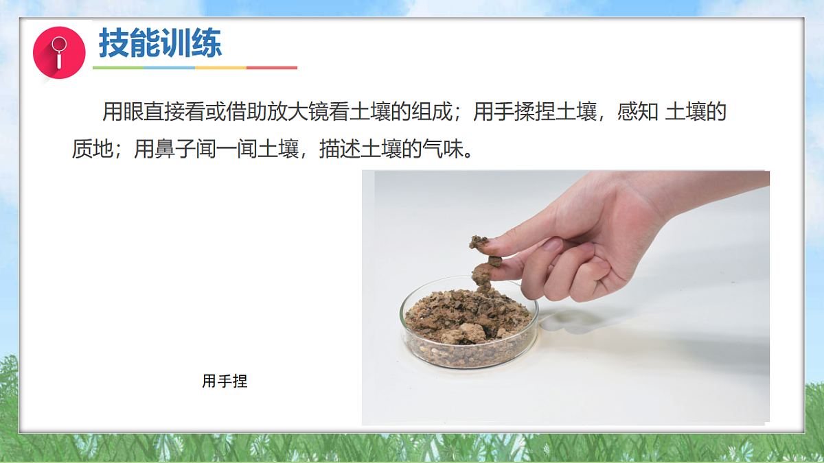 17342833第7页