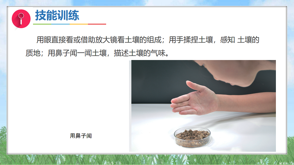 17342833第8页