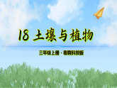 18《土壤与植物》（课件）-2025-2026学年科学三年级上册（粤教科技版2024）