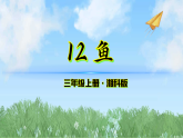 12《鱼》（课件）科学三年级上册（湘科版2024）